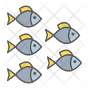 پیش‌نمایش فایل fish-3472630 از پک دریا
