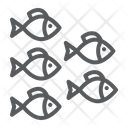 پیش‌نمایش فایل fish-3472669 از پک دریا