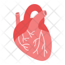 پیش‌نمایش فایل heart-1075 از پک پزشکی و درمان، آیکن‌های تخت