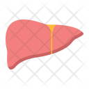 پیش‌نمایش فایل liver-37 از پک پزشکی و درمان، آیکن‌های تخت
