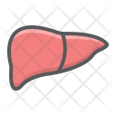 پیش‌نمایش فایل liver-38 از پک پزشکی و درمان، آیکن‌های دورخط پُر