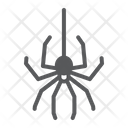 پیش‌نمایش فایل spider-4254482 از پک هالووین