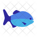 پیش‌نمایش فایل piranha-11888112 از پک حیوانات زیر آب
