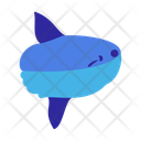 پیش‌نمایش فایل sunfish-11888123 از پک حیوانات زیر آب