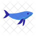 پیش‌نمایش فایل whale-11888125 از پک حیوانات زیر آب