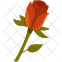 پیش‌نمایش فایل roses-12817772 از پک تئاتر