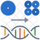 پیش‌نمایش فایل dna-mutation-4661096 از پک پزشکی ژنومیک
