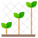 پیش‌نمایش فایل growth-9062250 از پک انرژی سبز و زمین پایدار