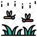 پیش‌نمایش فایل dragonfly-2473122 از پک فصل بارانی