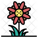 پیش‌نمایش فایل flower-plant-blossom-bloom-flora-2479754 از پک فصل بارانی