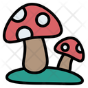 پیش‌نمایش فایل mushroom-8853217 از پک فصل بارانی