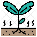 پیش‌نمایش فایل seedling-8853218 از پک فصل بارانی