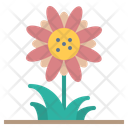 پیش‌نمایش فایل flower-8932709 از پک فصل بارانی
