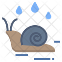 پیش‌نمایش فایل snail-2494142 از پک فصل بارانی
