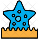 پیش‌نمایش فایل starfish-1425122 از پک سبک رنگ راش