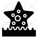 پیش‌نمایش فایل starfish-1425274 از پک ساحل