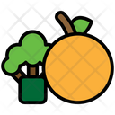 پیش‌نمایش فایل fruit-1449083 از پک سلامت و تغذیه رنگی