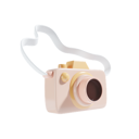 پیش‌نمایش فایل mirrorless-camera-10581329 از پک سفر