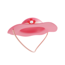 پیش‌نمایش فایل pamela-hat-10581335 از پک سفر