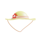 پیش‌نمایش فایل pamela-hat-10570019 از پک سفر