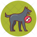 پیش‌نمایش فایل drug-detection-dog-6258680 از پک اجرای قانون