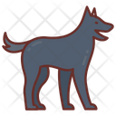 پیش‌نمایش فایل k-police-dog-6258699 از پک اجرای قانون