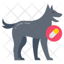 پیش‌نمایش فایل drug-detection-dog-6258880 از پک اجرای قانون