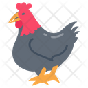 پیش‌نمایش فایل chicken-8637761 از پک سوپرمارکت