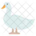 پیش‌نمایش فایل duck-8637825 از پک سوپرمارکت