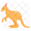پیش‌نمایش فایل kangaroo-8637831 از پک سوپرمارکت