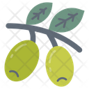 پیش‌نمایش فایل olives-8637811 از پک سوپرمارکت
