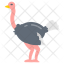 پیش‌نمایش فایل ostrich-8637828 از پک سوپرمارکت