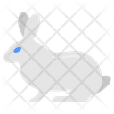 پیش‌نمایش فایل rabbit-8637838 از پک سوپرمارکت