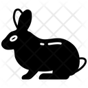 پیش‌نمایش فایل rabbit-8637938 از پک سوپرمارکت