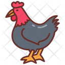 پیش‌نمایش فایل chicken-8637654 از پک سوپرمارکت