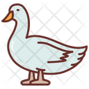 پیش‌نمایش فایل duck-8637718 از پک سوپرمارکت