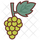 پیش‌نمایش فایل grapes-8637671 از پک سوپرمارکت