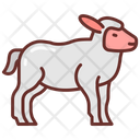 پیش‌نمایش فایل lamb-8637725 از پک سوپرمارکت