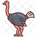 پیش‌نمایش فایل ostrich-8637721 از پک سوپرمارکت