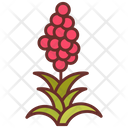 پیش‌نمایش فایل quinoa-8637706 از پک سوپرمارکت