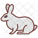 پیش‌نمایش فایل rabbit-8637731 از پک سوپرمارکت