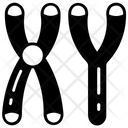 پیش‌نمایش فایل masculine-chromosomes-9467447 از پک اجزای بدن انسان و اندام‌ها