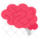 پیش‌نمایش فایل brain-9467493 از پک اجزای بدن انسان و اندام‌ها