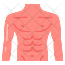 پیش‌نمایش فایل chest-9467494 از پک اجزای بدن انسان و اندام‌ها