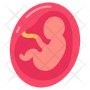 پیش‌نمایش فایل fetus-9467511 از پک اجزای بدن انسان و اندام‌ها