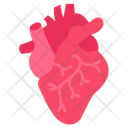 پیش‌نمایش فایل heart-9467496 از پک اجزای بدن انسان و اندام‌ها