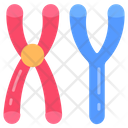 پیش‌نمایش فایل masculine-chromosomes-9467543 از پک اجزای بدن انسان و اندام‌ها