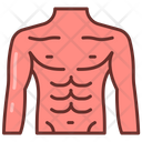 پیش‌نمایش فایل chest-9468397 از پک اجزای بدن انسان و اندام‌ها