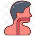 پیش‌نمایش فایل esophagus-9468441 از پک اجزای بدن انسان و اندام‌ها