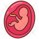 پیش‌نمایش فایل fetus-9468414 از پک اجزای بدن انسان و اندام‌ها
